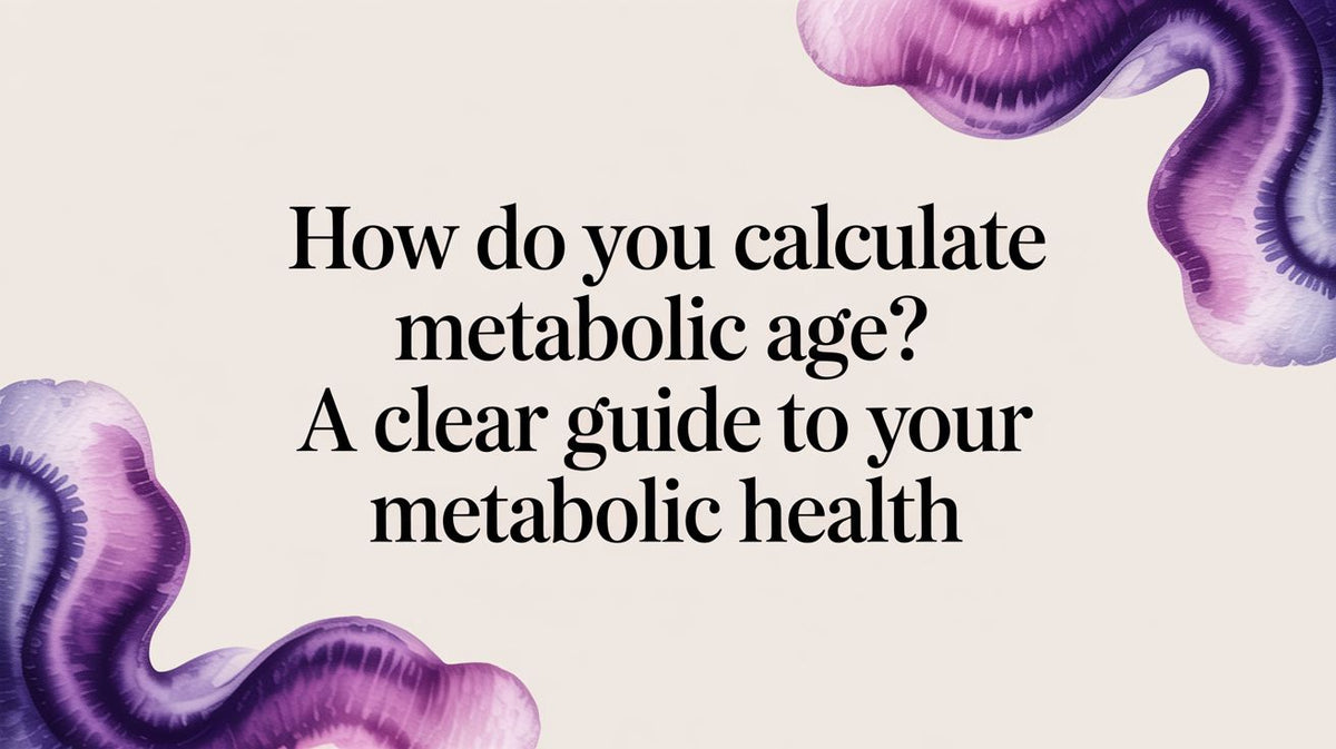 How do you calculate metabolic age? A Clear Guide to Your Metabolic Health